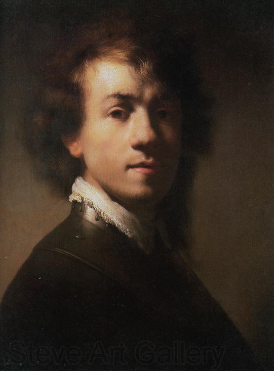 REMBRANDT Harmenszoon van Rijn Self-portrait (mk33)